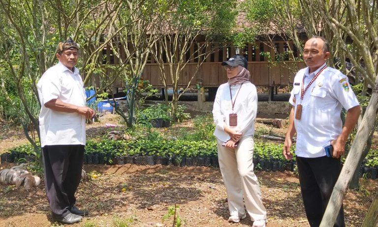 Kopi Tanggamus Siap Naik Kelas, BRMP Perkebunan Hadirkan Modernisasi Pertanian di Sumberejo
